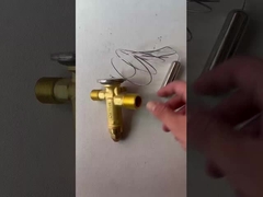 Danfoss AC Expansionsventil 067N7169 | Autorisierter Händler für Busflotten